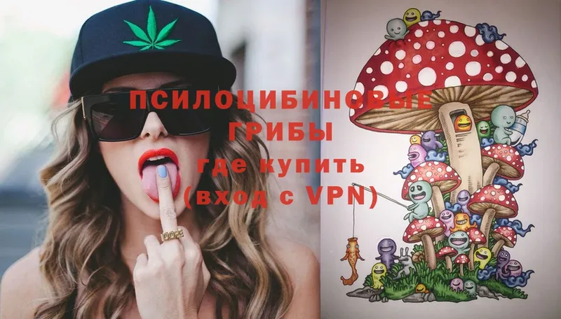 купить наркоту  Гуково  Галлюциногенные грибы Magic Shrooms 